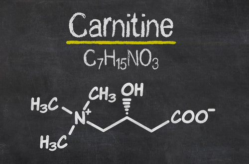 l carnitine abnehmen L-Carnitin für Fettabbau und Diät
