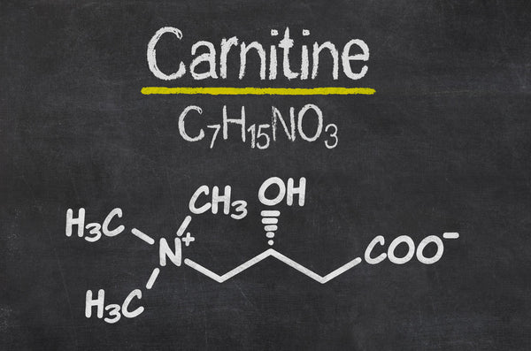 L-CARNITIN - DER FATBURNER