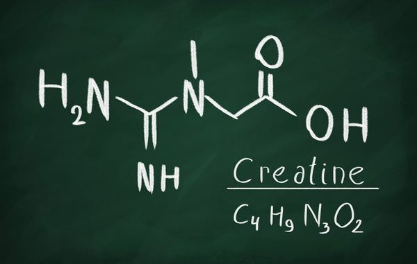 Creatin: Wirkung und Einnahme