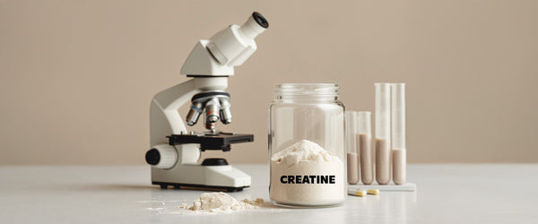 Dein ultimativer Creatin Guide: Mythen, Dosierung & Performance